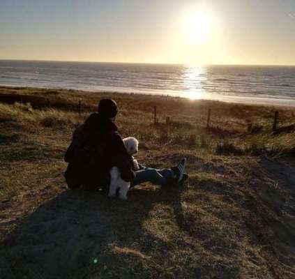 Sonnenaufgänge oder - untergänge-Beitrag-Bild