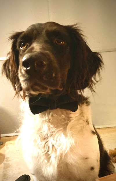 "Die eingefangene Magie des Augenblicks"-Beitrag-Bild