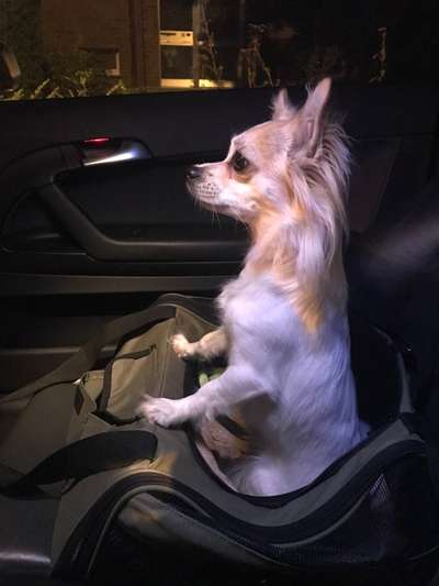 Lieblingsbild-Beitrag-Bild