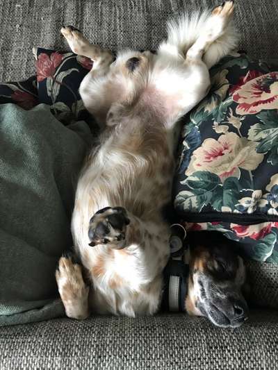 Die unbequemsten und lustigsten Schlafpositionen-Beitrag-Bild