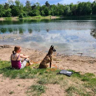 Challenge 33 - Du und dein Hund-Beitrag-Bild