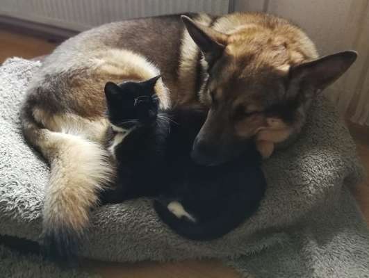 Die unbequemsten und lustigsten Schlafpositionen-Beitrag-Bild