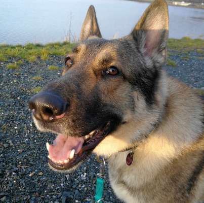 Immer lächeln !-Beitrag-Bild