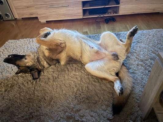 Die unbequemsten und lustigsten Schlafpositionen-Beitrag-Bild