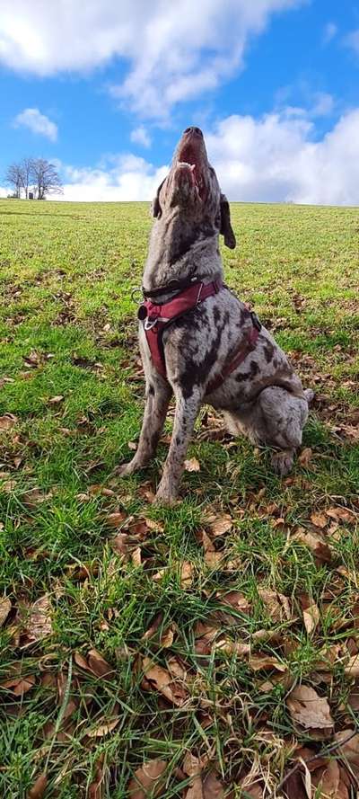 Lieblingsbild-Beitrag-Bild