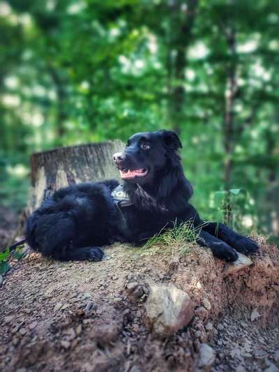 Theos Fotochallenge Nr. 3-Beitrag-Bild