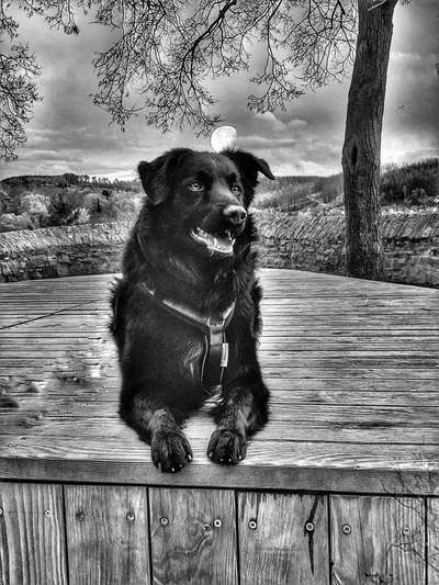 3. Farben/Fotochallenge: Schwarz/Weiß-Beitrag-Bild