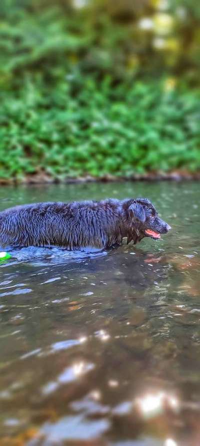 Eure schönsten Fotos mit Wasser-Beitrag-Bild