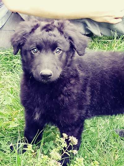 Erstes Bild-Beitrag-Bild