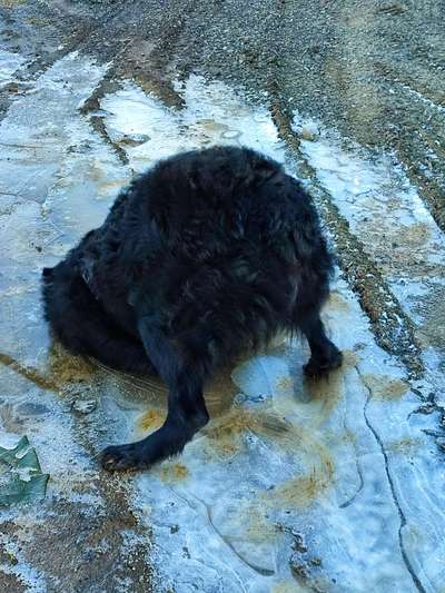 "Die eingefangene Magie des Augenblicks"-Beitrag-Bild