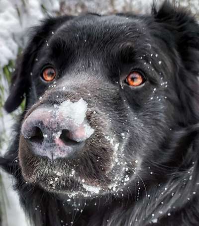 42. Handy Fotochallenge - Den richtigen Riecher haben-Beitrag-Bild