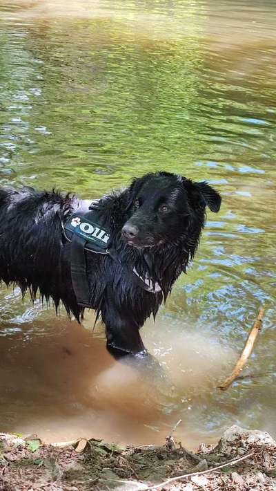 Theos Fotochallange Nummer 4-Beitrag-Bild