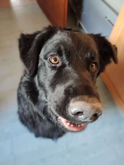 Das beste grinsefoto-Beitrag-Bild