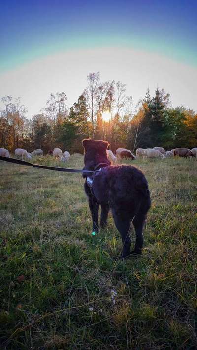 Theos  Fotochallenge Nummer 2-Beitrag-Bild