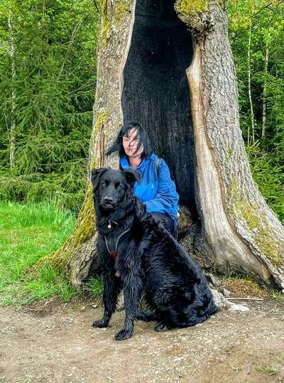 Challenge 33 - Du und dein Hund-Beitrag-Bild