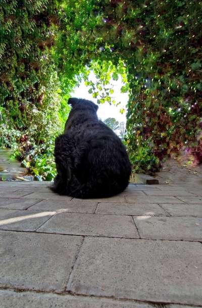 Foto Challenge Nr. 136-Beitrag-Bild