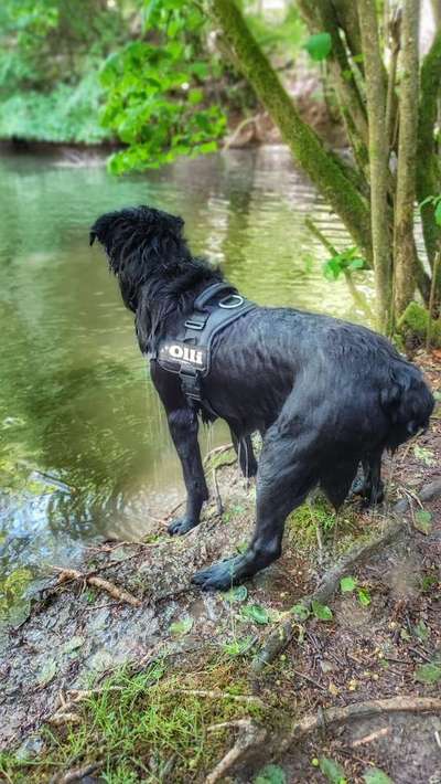 Eure schönsten Fotos mit Wasser-Beitrag-Bild