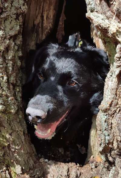 27. Handy Fotochallenge-Beitrag-Bild