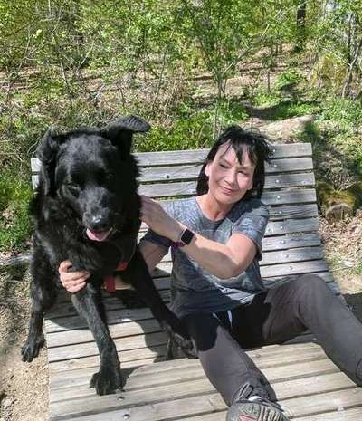 Altdeutsche Hütehunde-Beitrag-Bild