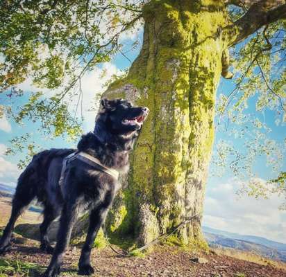 Fotochallange 84-Beitrag-Bild