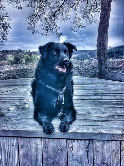 32. Collagen Challenge - eure liebsten gestellten Fotos-Beitrag-Bild