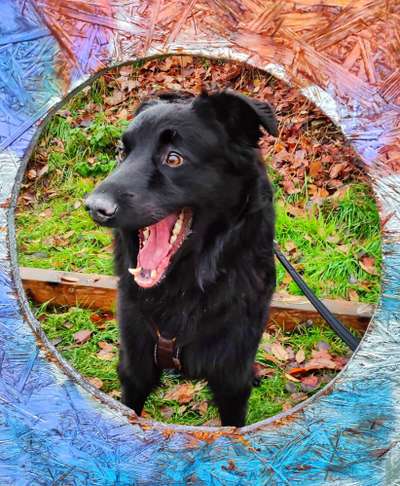 26. Handy Foto Challenge-Beitrag-Bild