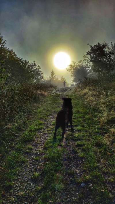 Herbst Bilder-Beitrag-Bild