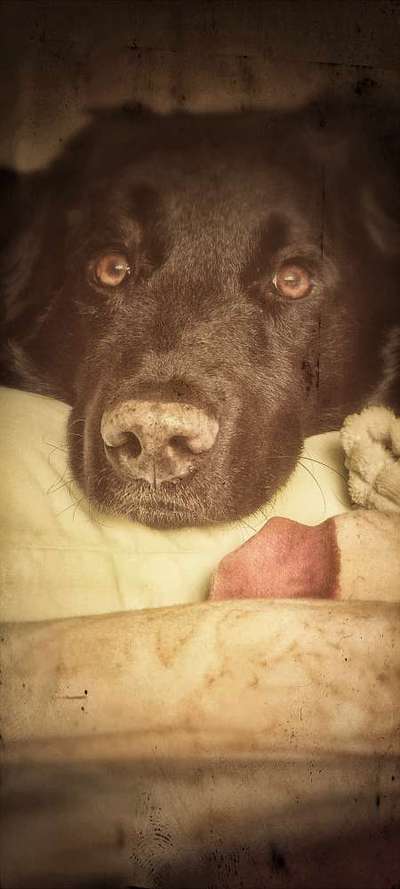 FarbenFoto - Challenge: Sepia-Beitrag-Bild