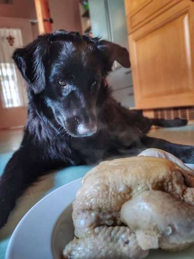 23. Handy Foto-Challenge-Beitrag-Bild