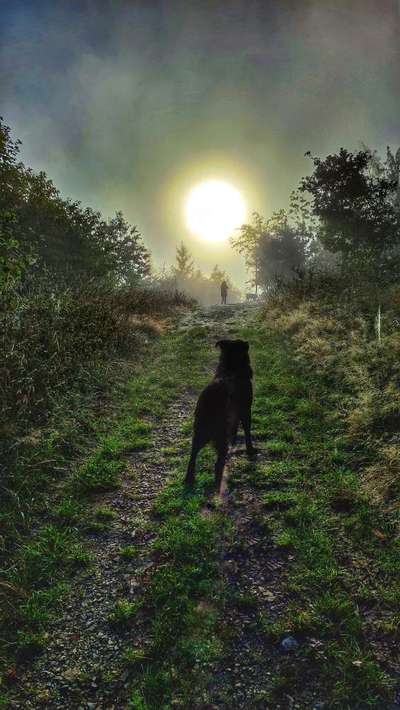 Sonnenaufgänge oder - untergänge-Beitrag-Bild