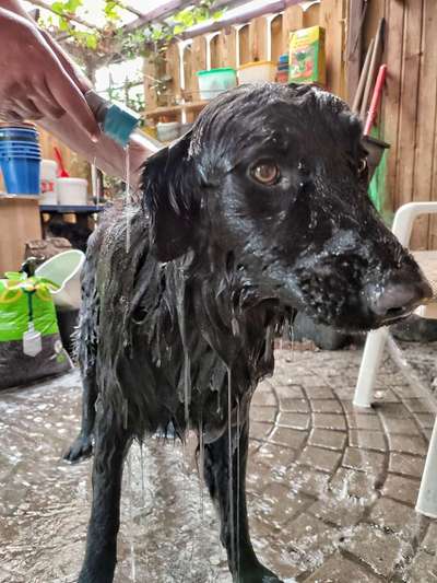 22. Handy Foto - Challenge-Beitrag-Bild