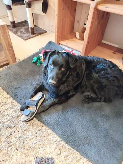 Fotochallenge 113: Auf frsicher Tat ertappt-Beitrag-Bild