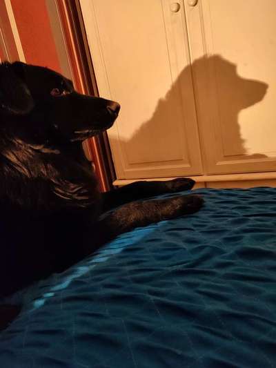 Photoshop und Co.-Beitrag-Bild