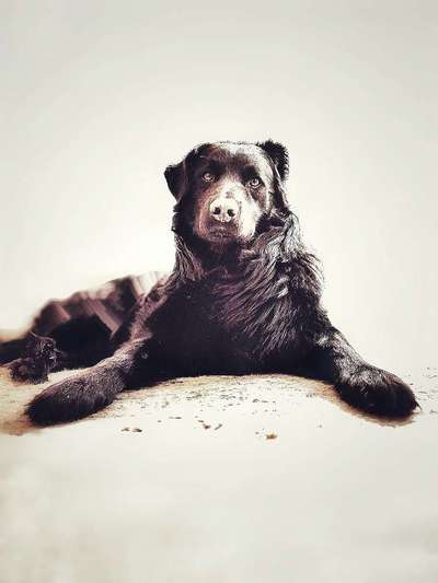 14. Farbenfoto-Challenge "Weiss"-Beitrag-Bild