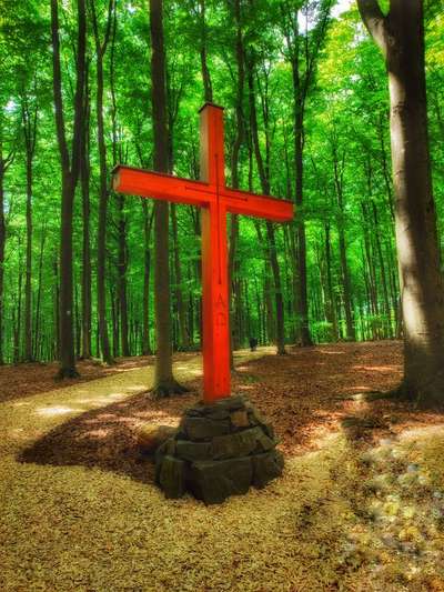 Dogorama Photo Challenge - Tarnung ist alles-Beitrag-Bild