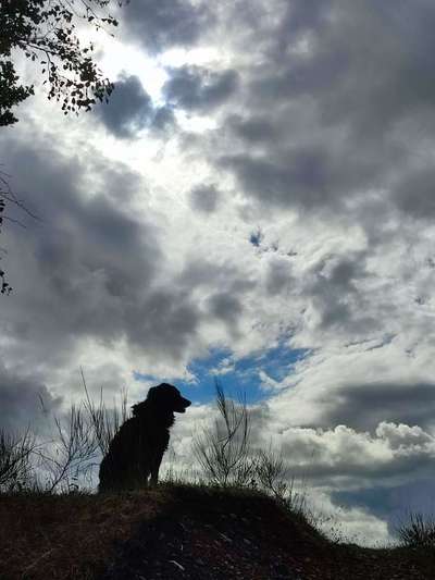 Fotochallenge Nr 107-Beitrag-Bild