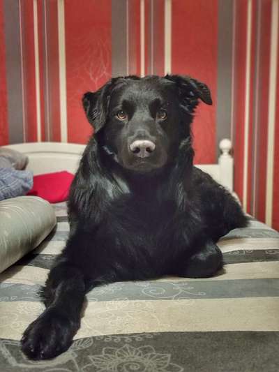 32. Farben Challenge  ** ( BUNTE ) STREIFEN **-Beitrag-Bild