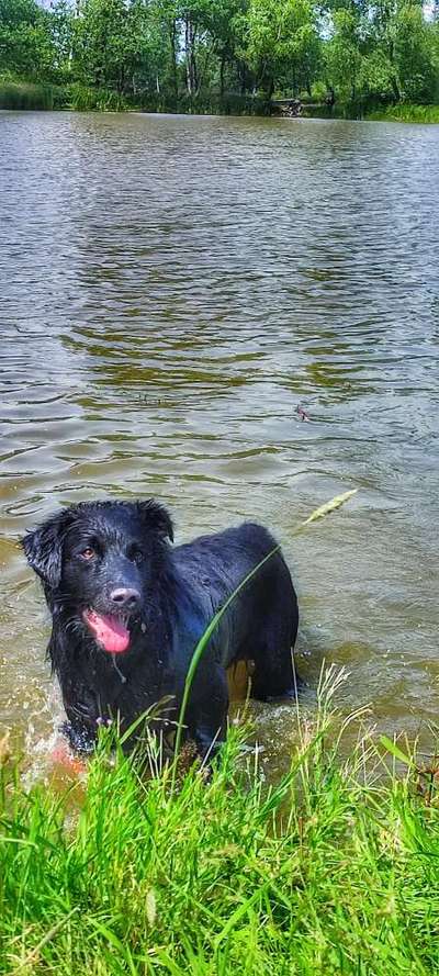 Eure schönsten Fotos mit Wasser-Beitrag-Bild
