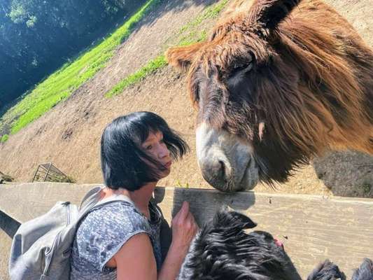 Fotochallenge Nr. 51 "Euer Hund mit anderen Tieren"-Beitrag-Bild