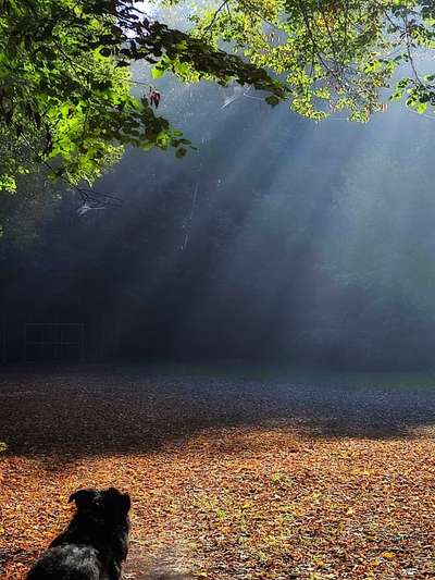 17. Farben Foto Challenge: Pastellfarben-Beitrag-Bild