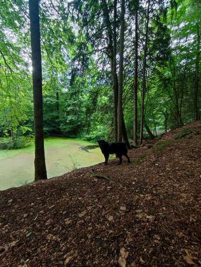 Eure schönsten Fotos mit Wasser-Beitrag-Bild