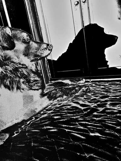 Photoshop und Co.-Beitrag-Bild