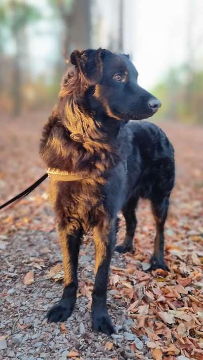 Lieblingsbild :D-Beitrag-Bild