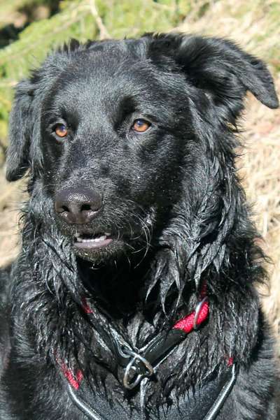 Fotochallange Nr. 57     PORTRÄT.   Beendet!!!!!!!!-Beitrag-Bild