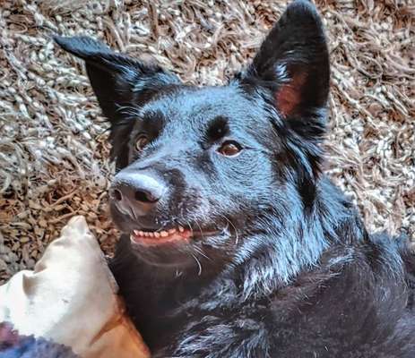 Handy-foto Challange nr. 11-Beitrag-Bild