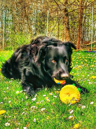 Fotowettbewerb zum Thema "Sonne"-Beitrag-Bild