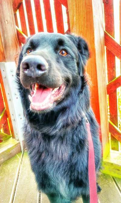 Fotochallenge Nr.122-Beitrag-Bild