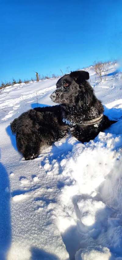 Der erste Schnee, zeigt uns eure tollen Schneemomente-Beitrag-Bild