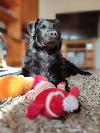 Foto Challange Nr.80-Beitrag-Bild