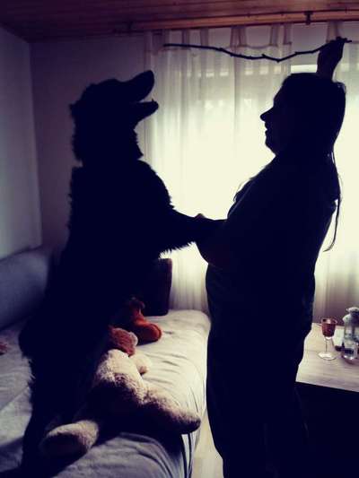 Hier ist der Spaßthread. Zum Schmunzeln und Kaputtlachen-Beitrag-Bild